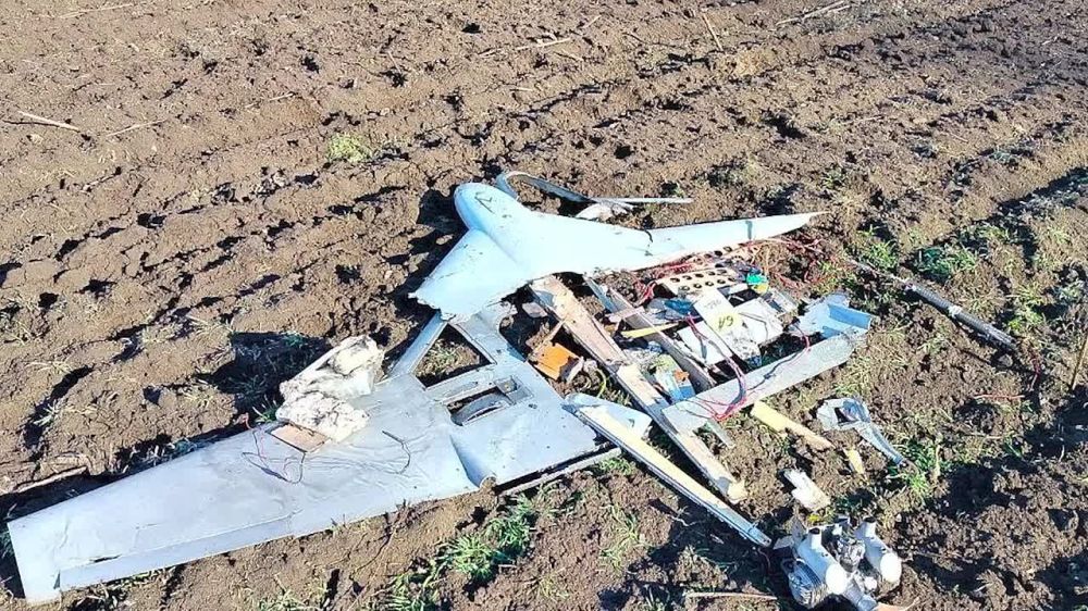 ���� ����: . ���������� ��� ����� ���������� 56 ���������� ���� ��� ����� ��������� ������: 11 � ��� ������������, 28 � ��� �����������, 17 � ��� ���������� ���