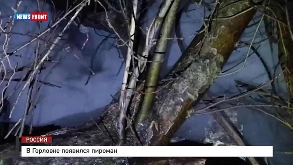 ������� ������: � ����� 2024 ���� ����������� ������� � ����� �� ������� ����������� ������ ��������