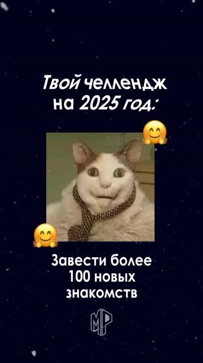 ������ ������� ���� �� 2025 ���