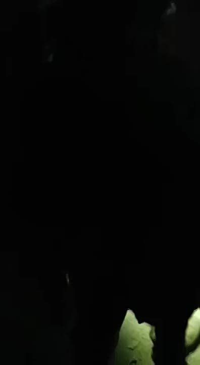 � �������� ���������� ����� ���������� ������, ����������� ������ ���������� ������, �������� ������� ������������� ������� �������