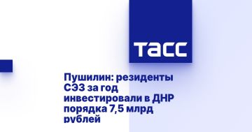 Пушилин: резиденты СЭЗ за год инвестировали в ДНР порядка 7,5 млрд рублей
