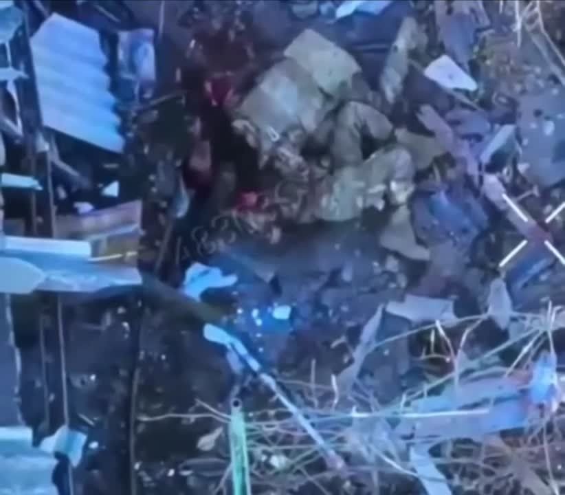 ������ �������: �� ����� ���������� ������� ���������� ����������� "������" �� �� �� ������ � ������� ���������� ������������ � ��������� ���������� ������������� � ���� ���� �� �.�