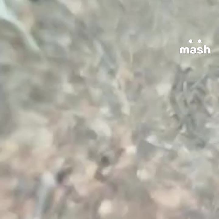 �������� ������� ������ ������� � ���� ���������������� � �������� �������