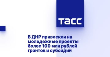 В ДНР привлекли на молодежные проекты более 100 млн рублей грантов и субсидий