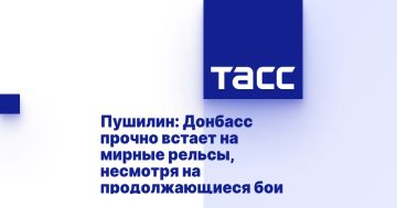 Пушилин: Донбасс прочно встает на мирные рельсы, несмотря на продолжающиеся бои