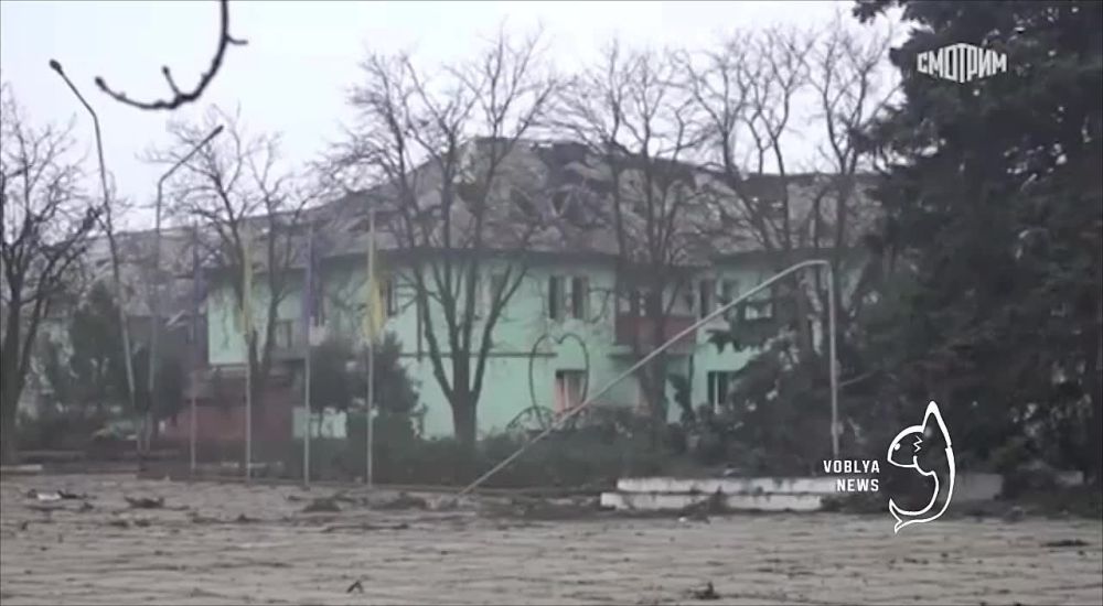 ������ ���������: ��� ����� ������ - ������������� ��������� � ��������