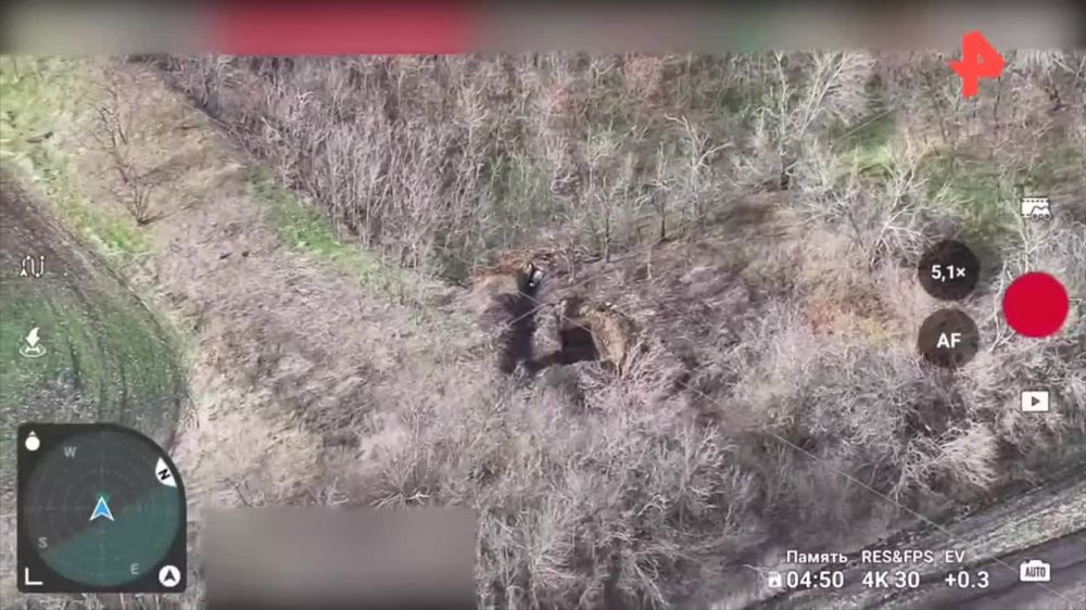 �� �� ���������� �������� � ��� ��������� �������� ���������� � ������� ������