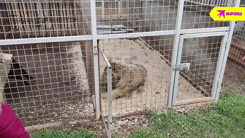 ������� ��������� �����, ���� � ������: ����� �������� � ������������� ��������