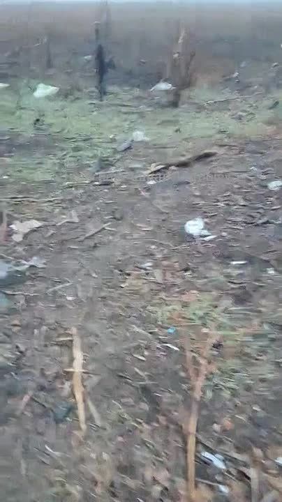 ������ �������: �������� ���� � �������� ���������� ������������ �� ����-�������� �����������