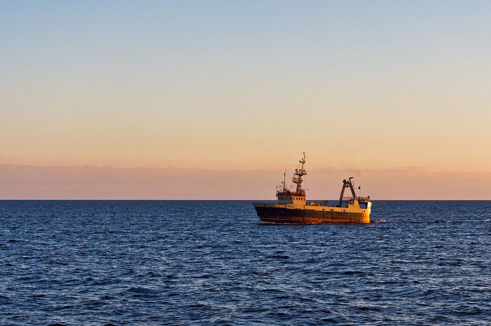 ��������������: �������� � �����-������������ �������� ��������� �� �����