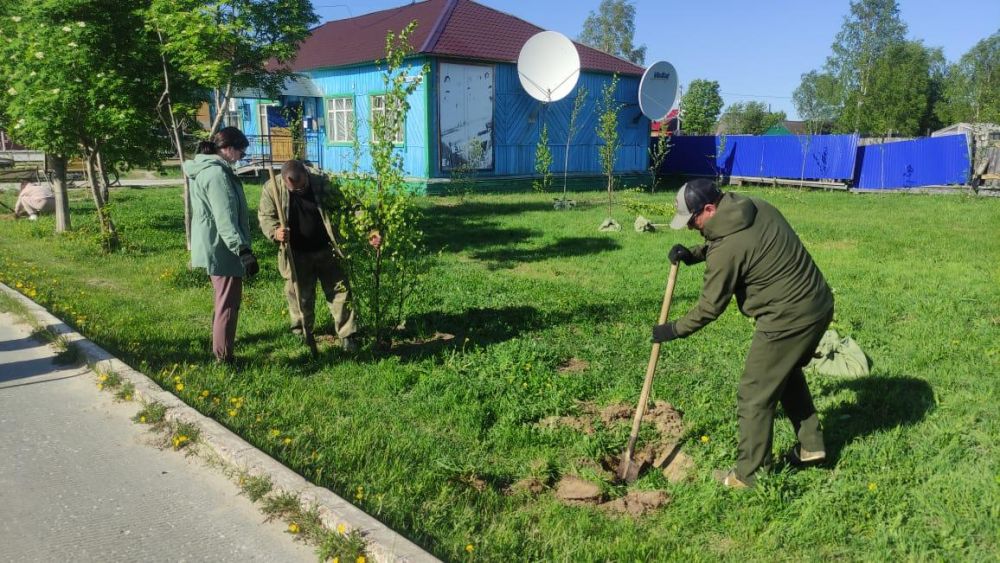 ����������� ��������� �������� � �������� ���� �������� ����� 30 ����������� �� ������ ��������� � 2025 ����