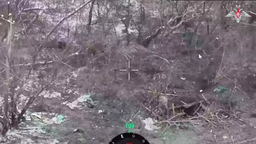 ������ ������������ � ������ ���: ��� ����� ������ ���������� ����� � �������� ��� ��������