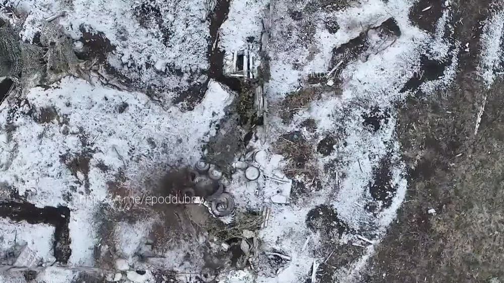 ������� ���������: � ������� ������� ����������� � ������ ���������� �������� ����� "�����" ����������� �����