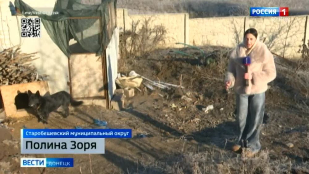 ������ �������: �������� �������� - ���� �� ������� ������������ ����������