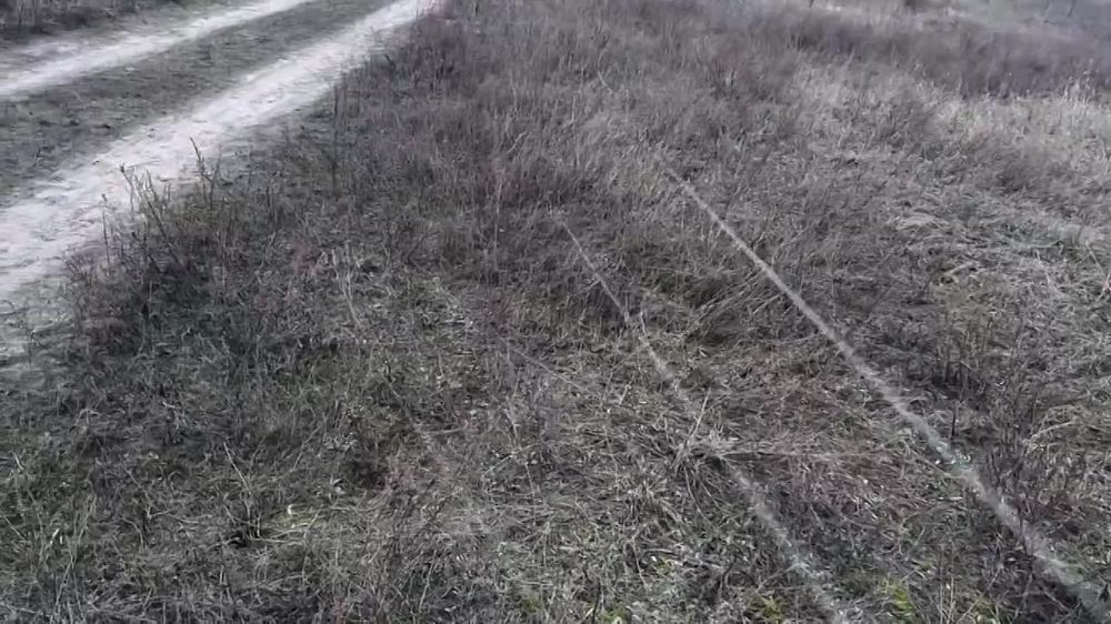 ��� �������� ����� ���������� FPV-������ �� �����������, ���������� �� �����