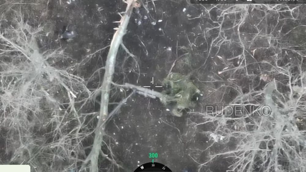 ������ �������: �������� ���� 242 ��������������� ����� 20 ����������� �������������� ������� 8 ���������� ����������� �����