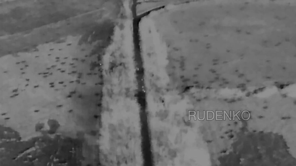 ������ �������: ������� �-30 85 ��������� �������������� ������� 3 ����������� ����� ����� ����������� ����� � ������������ �.�