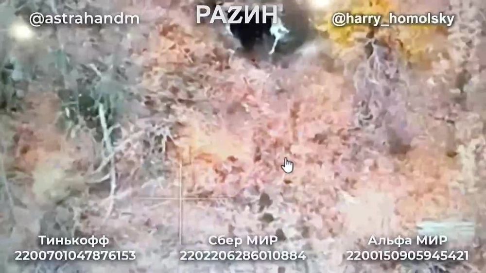 ����� ����������: ������, ������ � �������� ���������� � ���������� ������� �� ���������� ������������ ������������� ��������, ������� ��������� ������ ������ �� �������� �����������