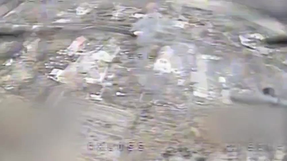 ������� ���������: ���� ������ ������� ���������� �� ����-�������� ����������� ��������� �����������