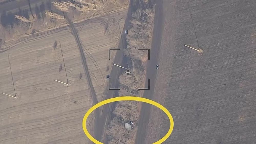 ��������� ���: ��������. ������� ������ ��������