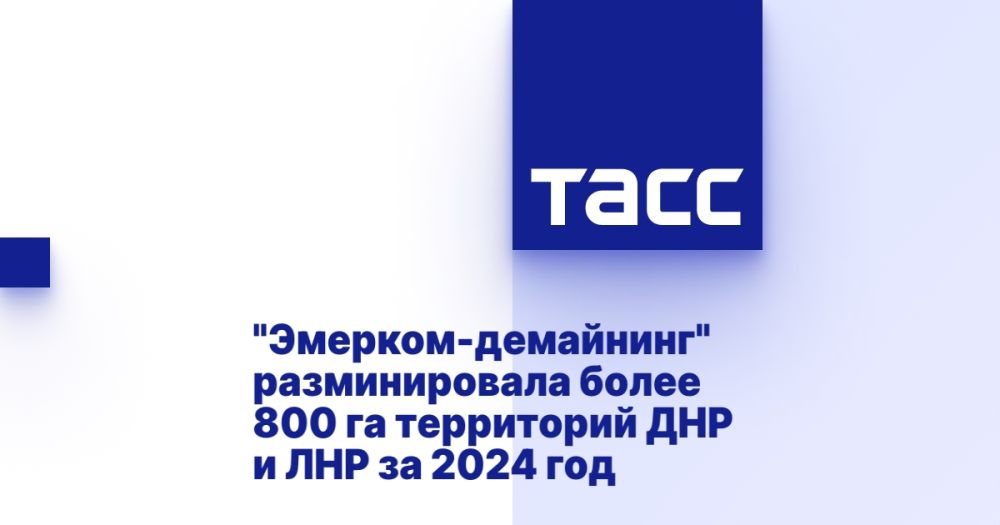 "�������-���������" ������������� ����� 800 �� ���������� ��� � ��� �� 2024 ���