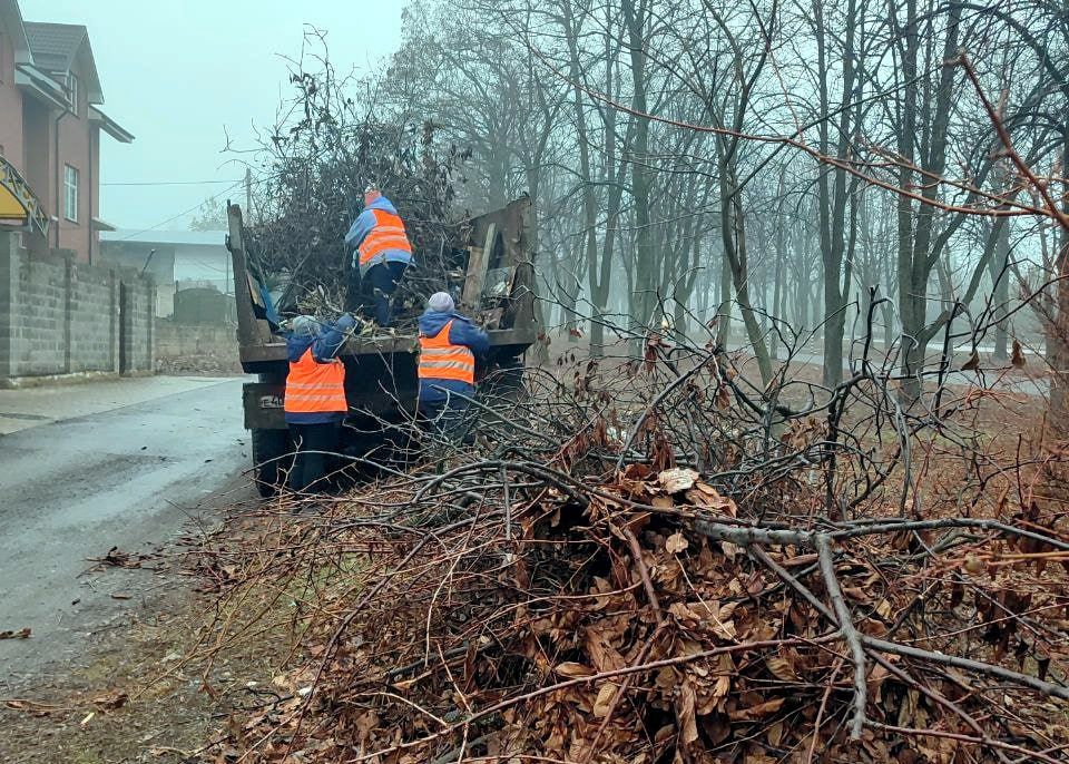 ���� ������: � ������������ ������, ���������� ����������� ����������� ������������ ���� ������������ ������ �� ��������������� ������