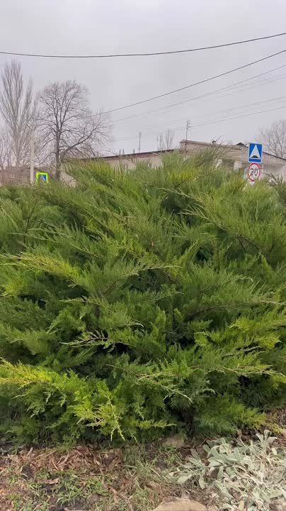 ������� ����������: ������� ������ � �� ����������� ������!