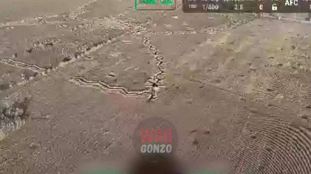 WarGonzo: ������������� ������� ������ ������ �� ���������� �����������