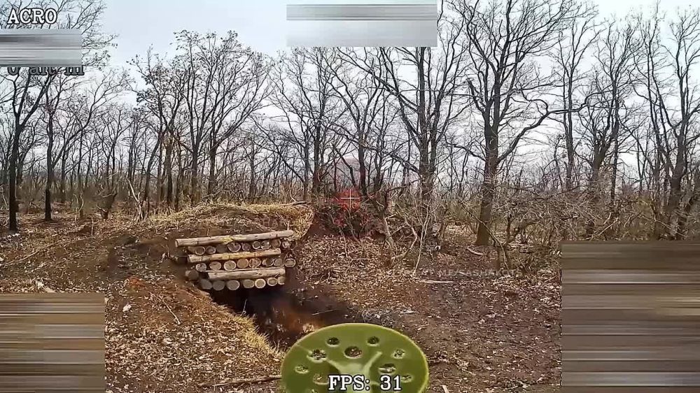 ��������� ���: ������ ����� � �������. � ���������� ����������� ���� ������� ����������� ����� ��������