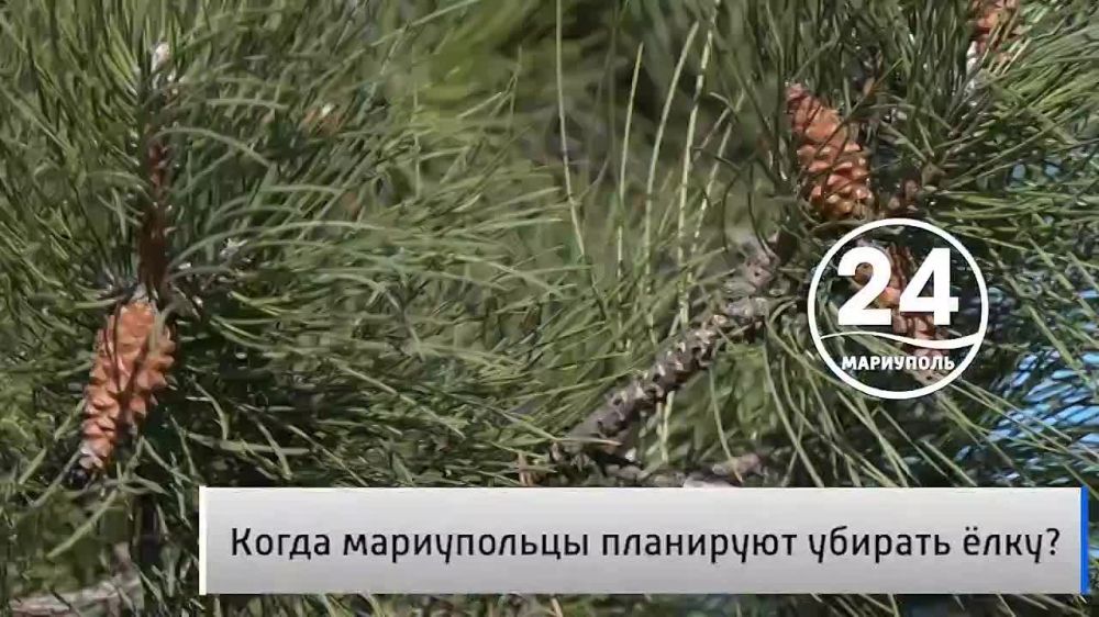 �������� ������ 26.01. ������ �� ����������� ����? �� ����� ���� �������� ���� ������ ������. ���������� ��������� ��� ������ � ��������� ����� �������� ����������� ��������� � ��������� �� ���������� ���� � ������� ��������...