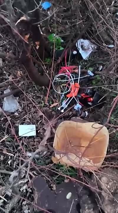 ������ ������ � ���� �����