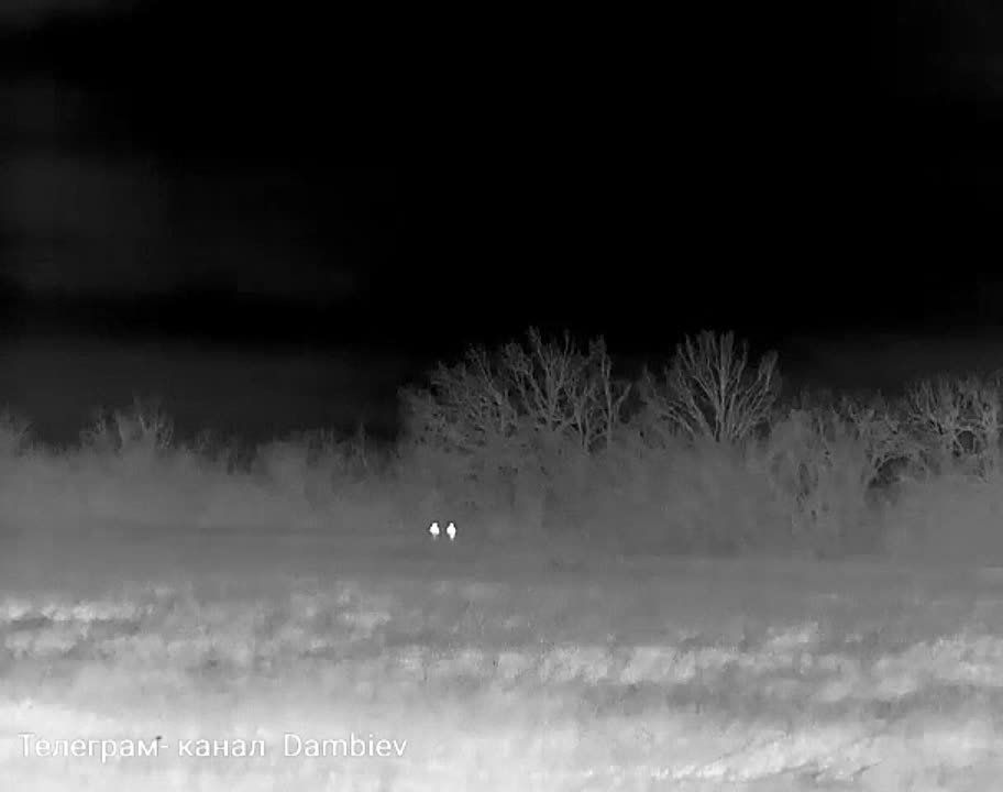 ������ �������: �������� ����������� "������" �� �� �� ������� ���������� �������� ������� �������� ��������� ������ �� ����-�������� �����������