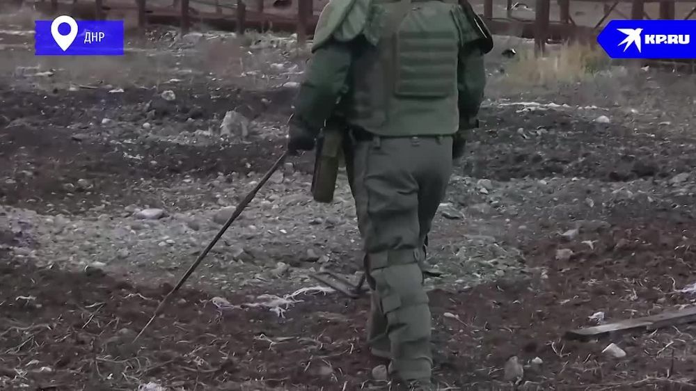 Мины и снаряды через каждый метр: Саперы за месяц обезвредили более 1000 взрывоопасных предметов в освобожденном Угледаре в ДНР