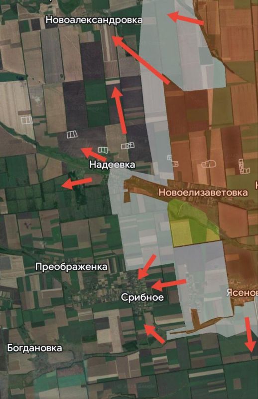 ���� �������: ���������������� �����������