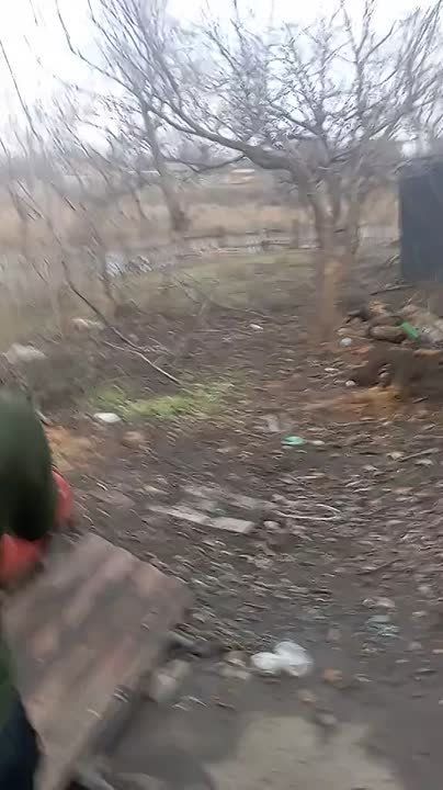 ������ �������: ������� ���������� ������������ ������������ ���������� �������� �������� ������� ����� �� ������ ��������� ���������� ����� "����������" � �������������� �������� �������� ����������