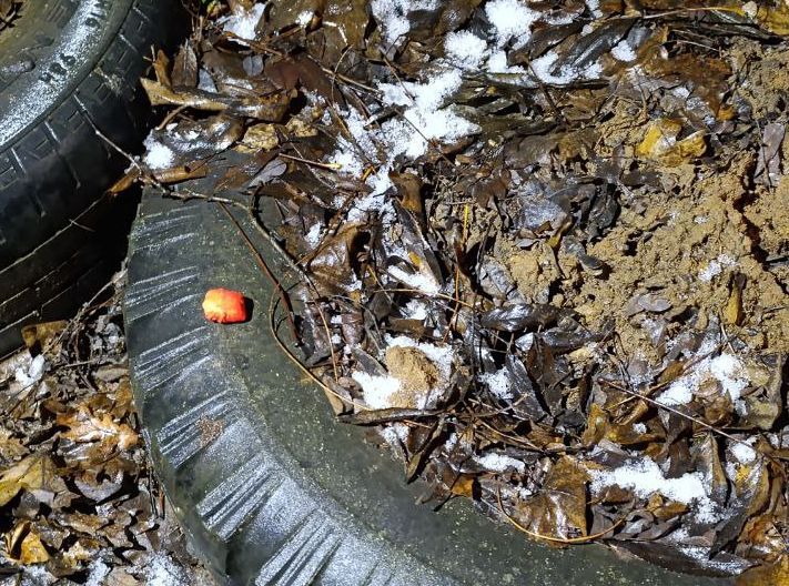 �������� ������ ������� ����������� ��������� ���� ��������������