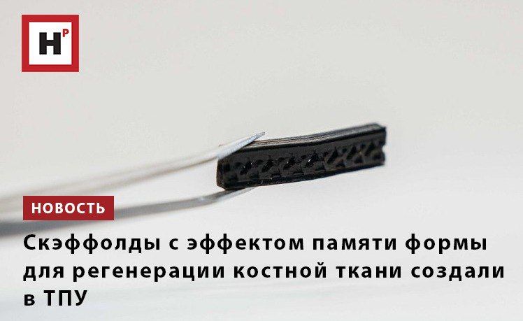 ������� ������ � ������� 3D-������ ������� �������������� ��������� �� ������ ������������ ������� (PLA) � ����������� ���������� ��������� (Fe3O4)
