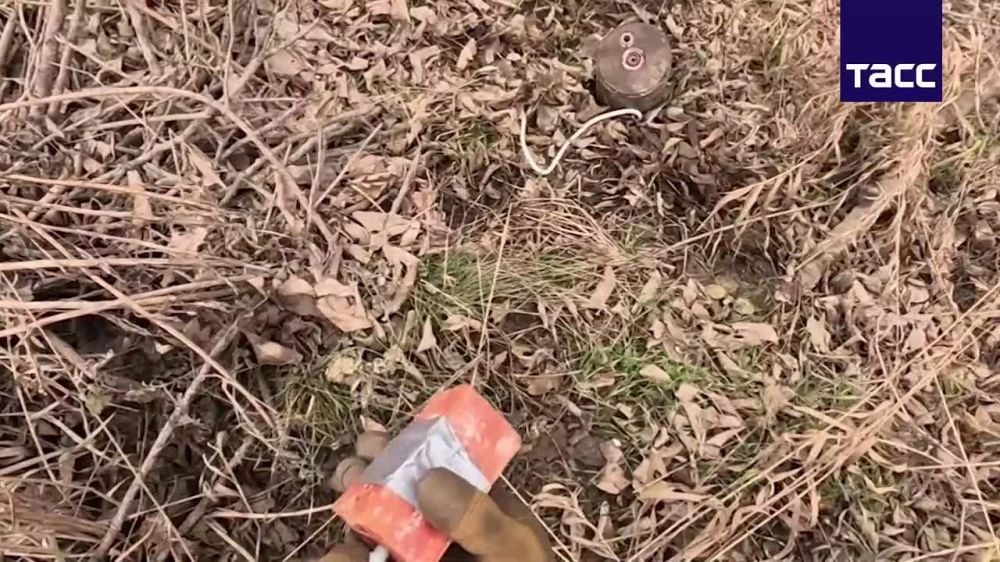 ������� 38-�� ���������� ���������-��������� ��������� ����������� ������ �� ������������ ����������� � ��� ��� ����� �������� ����������� ������� � ��������� �������, ��������� �������� ���� � �������� �������