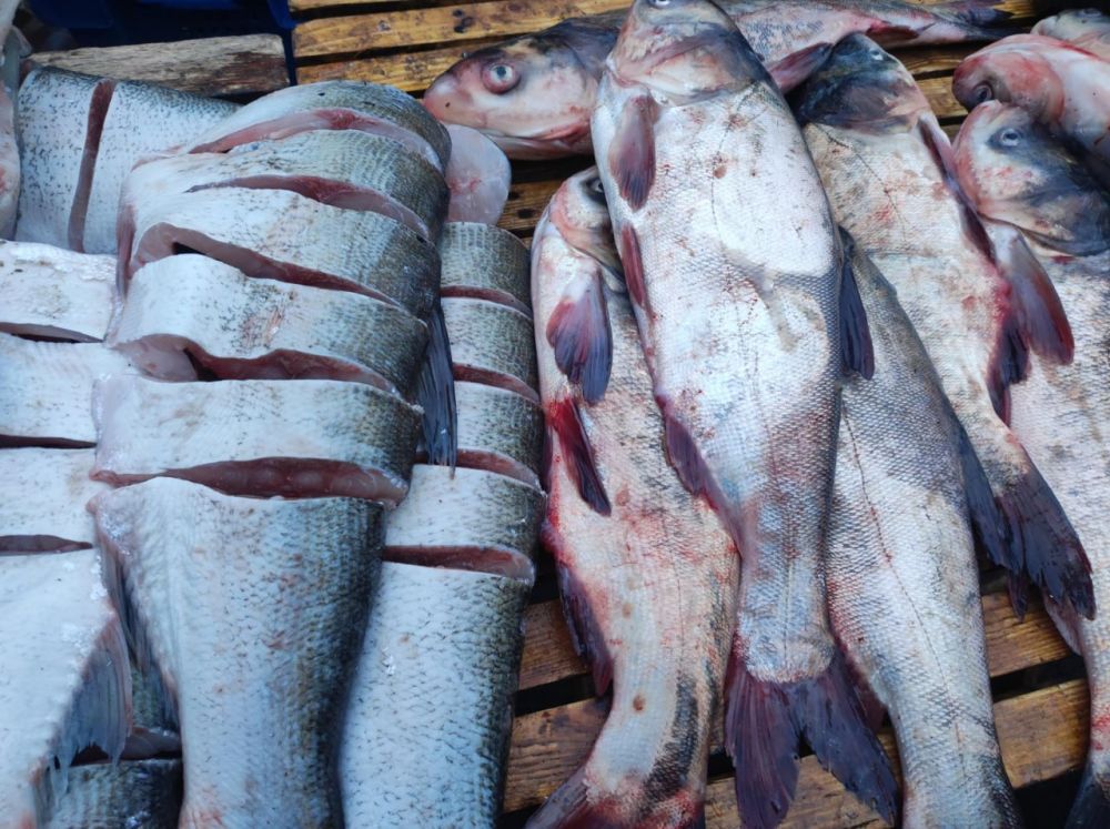 ��������� �������: �� ����������� ������� ����������� ������ �������