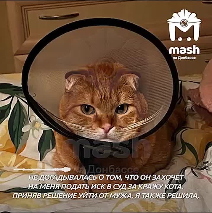 ������ ��� ����� � ��� �� ��������, ������ ��� ��� ������� � ���� ����