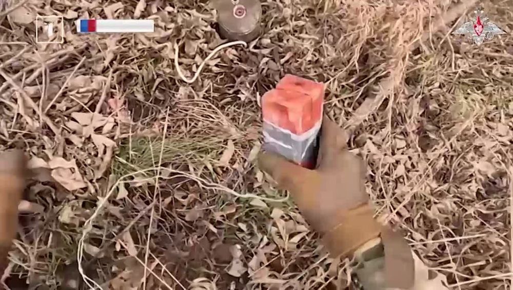 ������ ����� � ������ ������: ���� ����� ������ ������� ������ � ������� ���