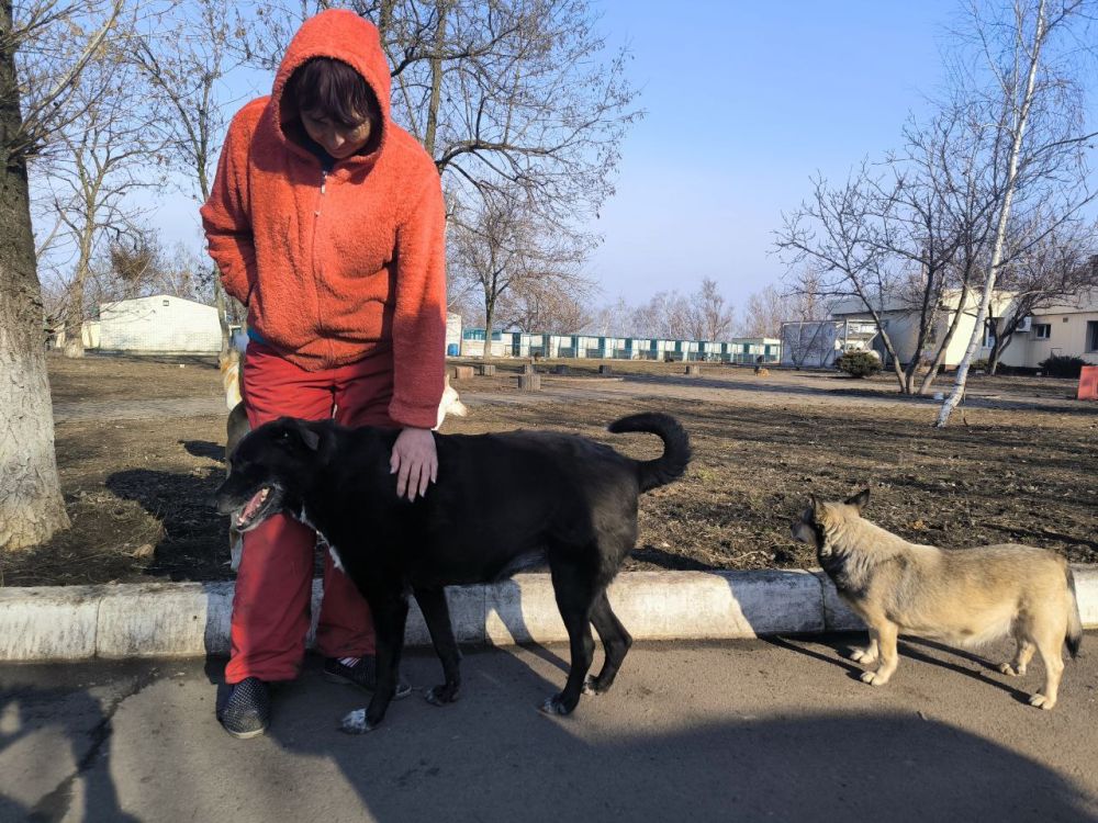 ������� ���������: �������, 31 ������, � ������ ���������� ������� "������ ��������� ����" ���� �������� ������ � ����� ��� ��������� �������� �"���" �. ������