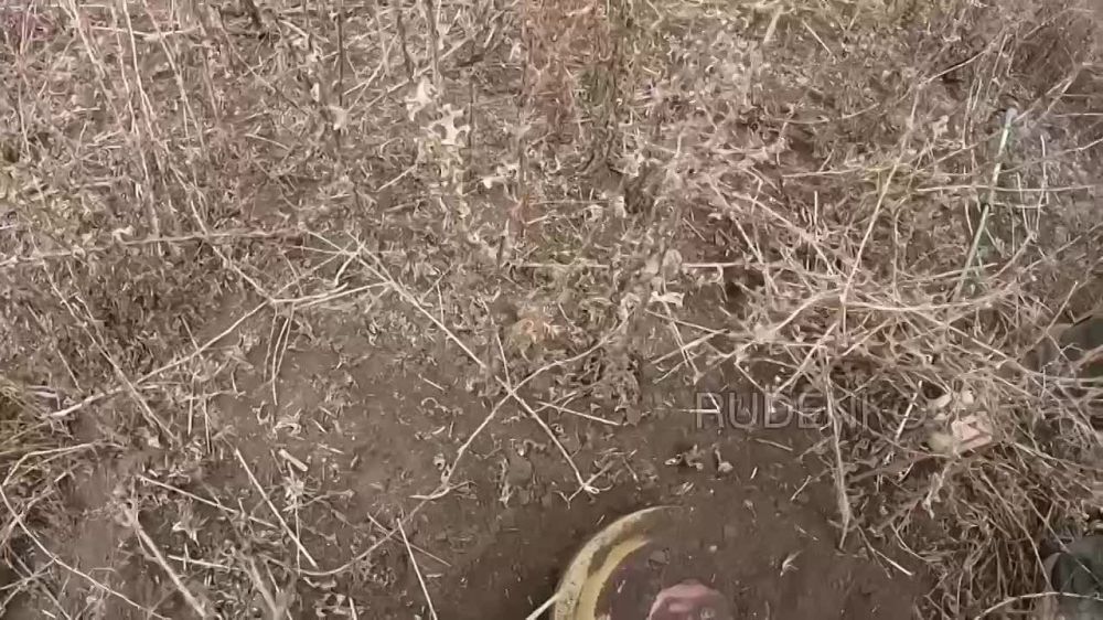 ������ �������: �������������� ����������� ���������� ����������� ����� ������ ��������� ������ �� �������������� �������� ����� � ��������� ������� ��������� � ������������� ���������� ������� ��� �� ���������������...