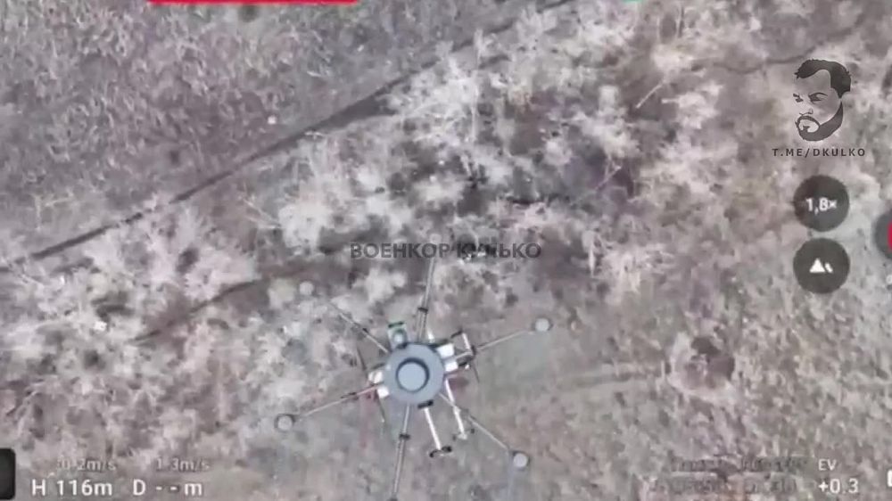 ������� ������: ���� ��� ���������� � �������