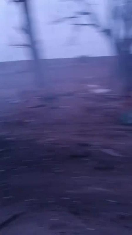 ������ �������: �������� "�����������" ������������ ��������� ������������ �� ����-�������� �����������