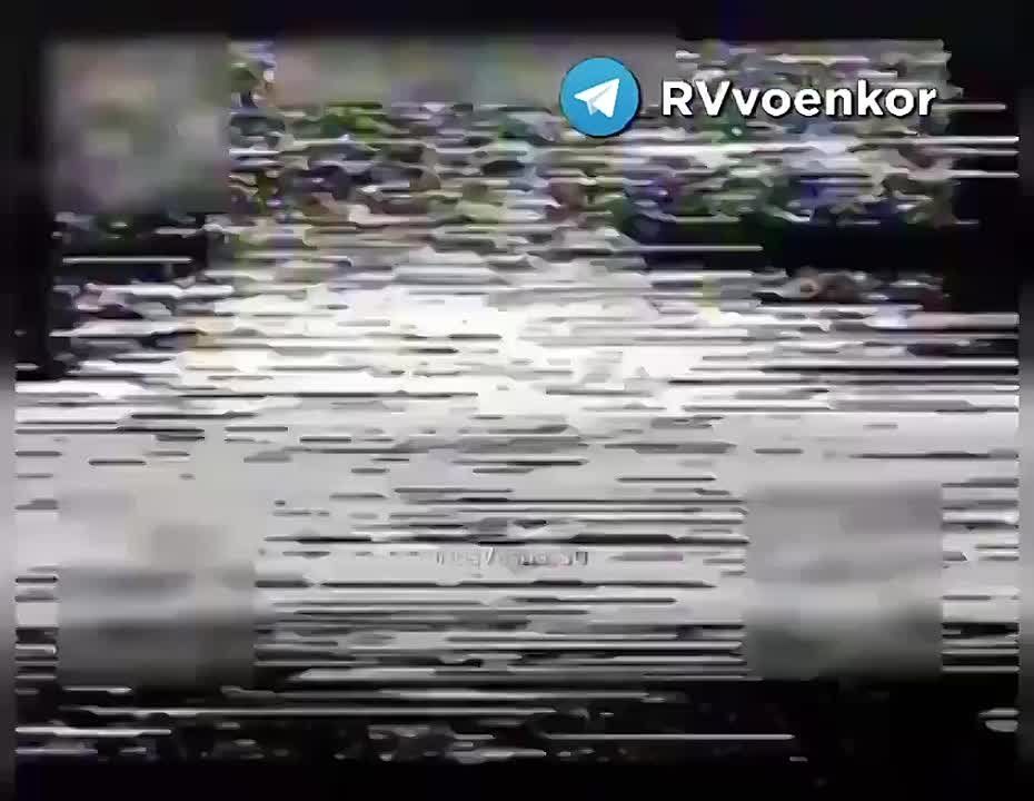 ��� ���� � ������ ������� �������� � ����� ���������� �113 �� ���������� �����������