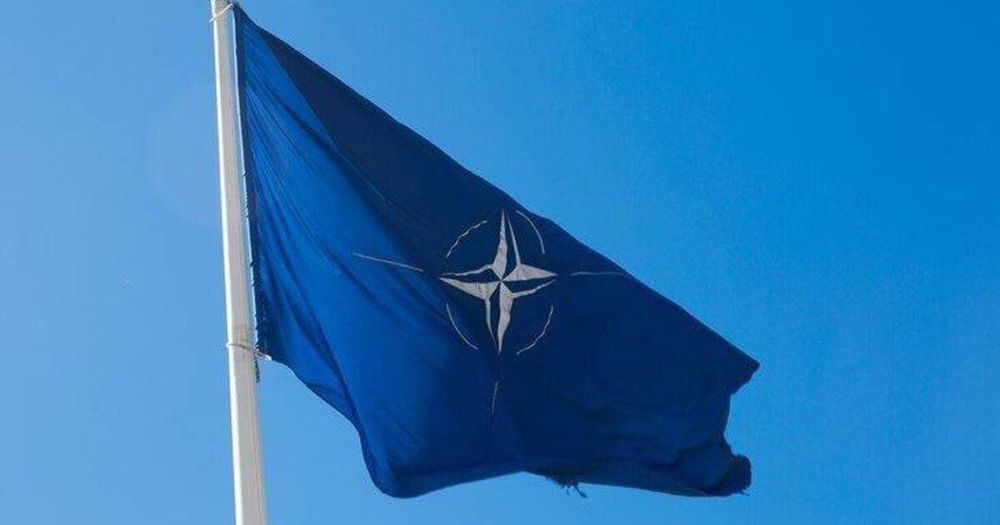 Александр Волошин: Интересное заявление сегодня распространило пресс-бюро Службы внешней разведки – НАТО готовит операцию по дискредитации Зеленского