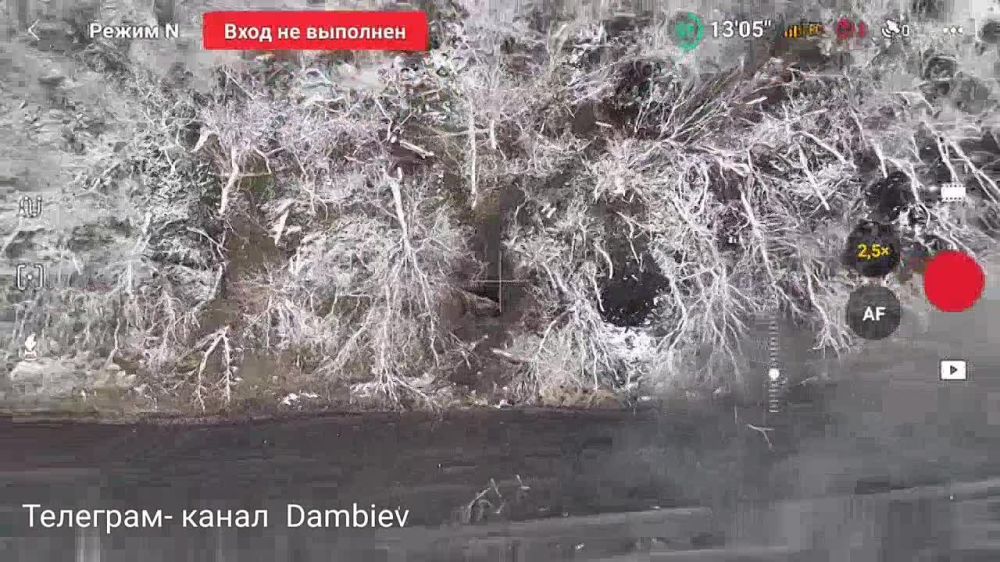 ������ �������: ��������� 37 ��������� ����������� �������������� ������� �� �� �� ������� ���������� 82-�� ������� �������� ��������� ������ �� ����-�������� �����������