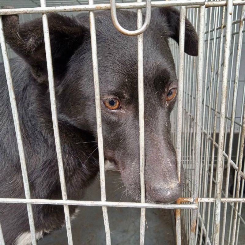 ������ ��������: ����� ��������� �������� � ������������ � ������������ ������� ������