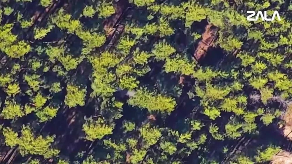 ������� ������: ZALA �������: ���������� ������������ ����� ���� RM-70 Vampire, ������������ ���